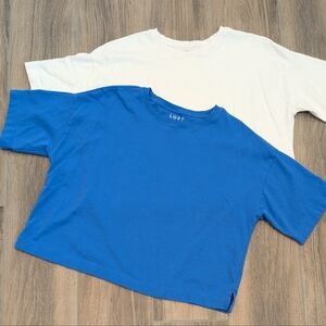 Like New! LOFT Blue and White Cropped T-Shirt Set